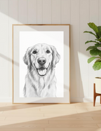 Pet Sketch