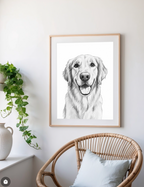 Pet Sketch