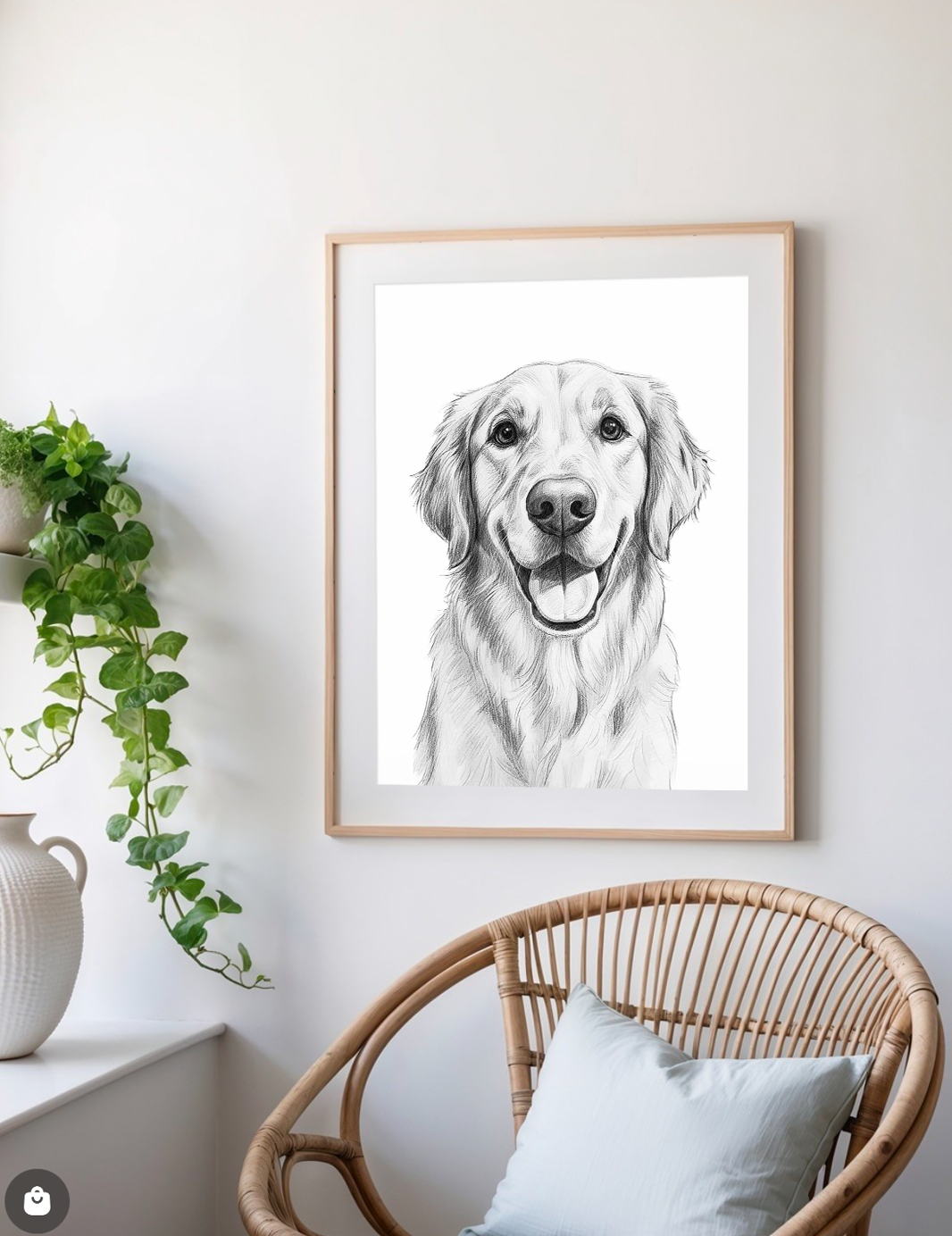 Pet Sketch