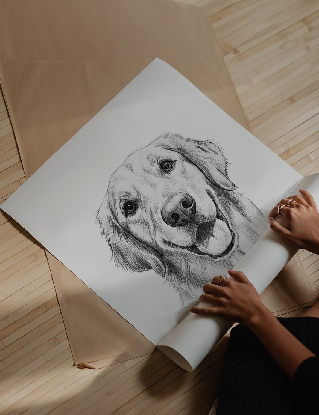 Pet Sketch