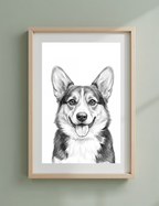 Pet Sketch