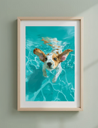 Jump in the Pool