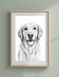 Pet Sketch