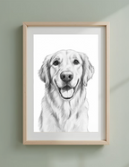 Pet Sketch