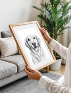 Pet Sketch
