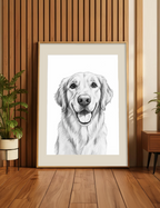 Pet Sketch
