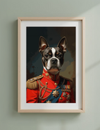 The Distinguished Gentleman